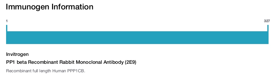 PP1 beta Recombinant Rabbit Monoclonal Antibody (2E9)