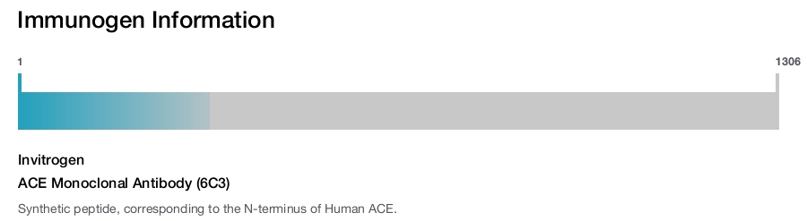 ACE Monoclonal Antibody (6C3)