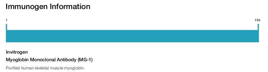 Myoglobin Monoclonal Antibody (MG-1)