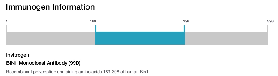 BIN1 Monoclonal Antibody (99D)