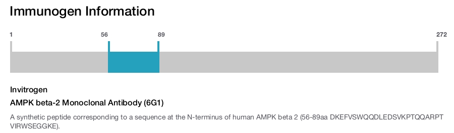 AMPK beta-2 Monoclonal Antibody (6G1)