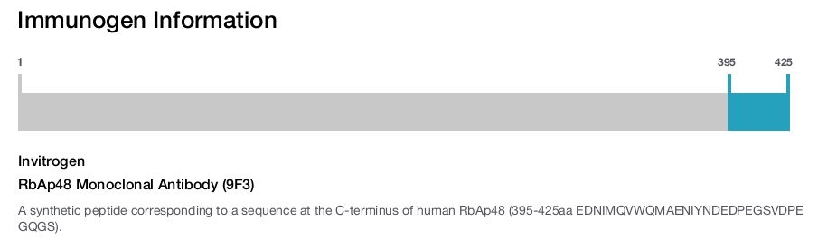 RbAp48 Monoclonal Antibody (9F3)