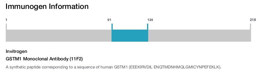 GSTM1 Monoclonal Antibody (11F2)