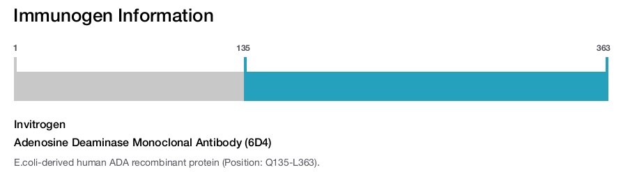 Adenosine Deaminase Monoclonal Antibody (6D4)