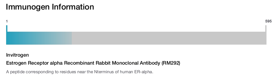 Estrogen Receptor alpha Recombinant Rabbit Monoclonal Antibody (RM292)