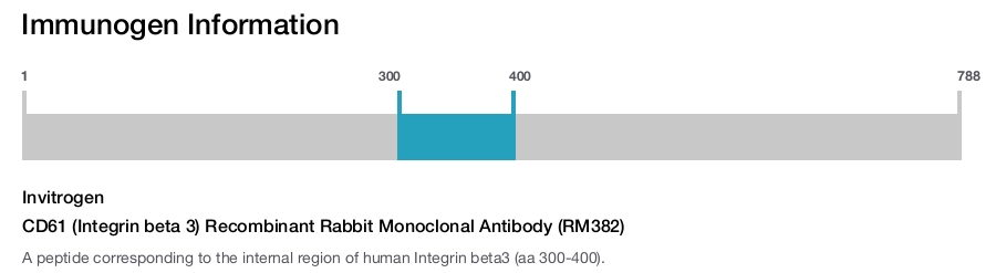 CD61 (Integrin beta 3) Recombinant Rabbit Monoclonal Antibody (RM382)