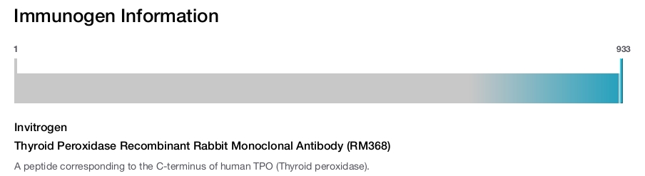 Thyroid Peroxidase Recombinant Rabbit Monoclonal Antibody (RM368)