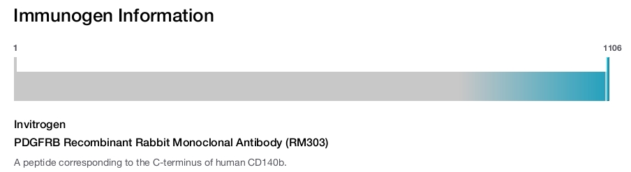 PDGFRB Recombinant Rabbit Monoclonal Antibody (RM303)