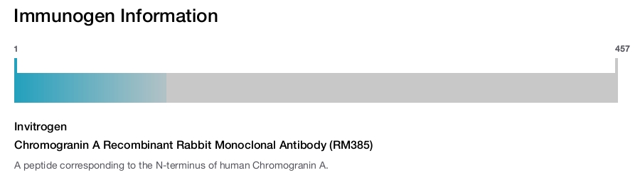 Chromogranin A Recombinant Rabbit Monoclonal Antibody (RM385)