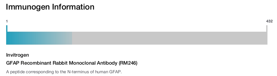GFAP Recombinant Rabbit Monoclonal Antibody (RM246)