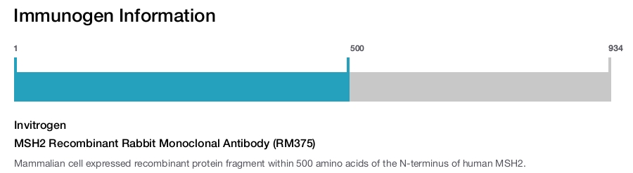 MSH2 Recombinant Rabbit Monoclonal Antibody (RM375)