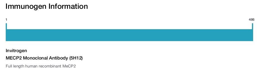 MECP2 Monoclonal Antibody (5H12)