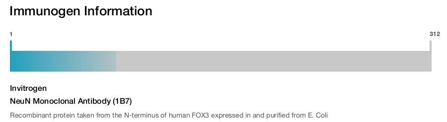 NeuN Monoclonal Antibody (1B7)