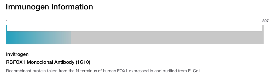 RBFOX1 Monoclonal Antibody (1G10)