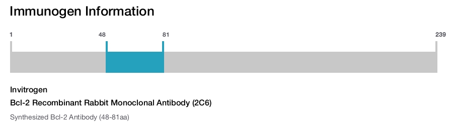 Bcl-2 Recombinant Rabbit Monoclonal Antibody (2C6)