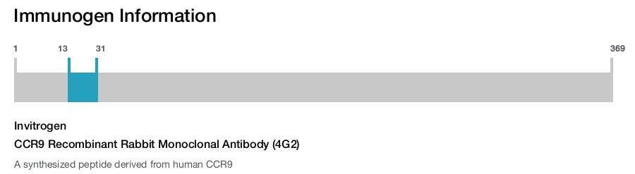 CCR9 Recombinant Rabbit Monoclonal Antibody (4G2)