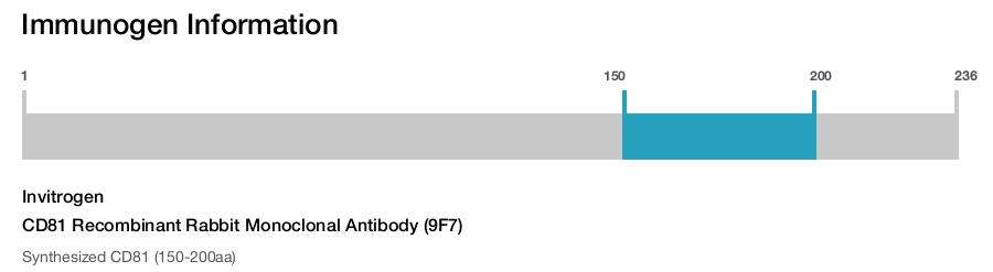 CD81 Recombinant Rabbit Monoclonal Antibody (9F7)