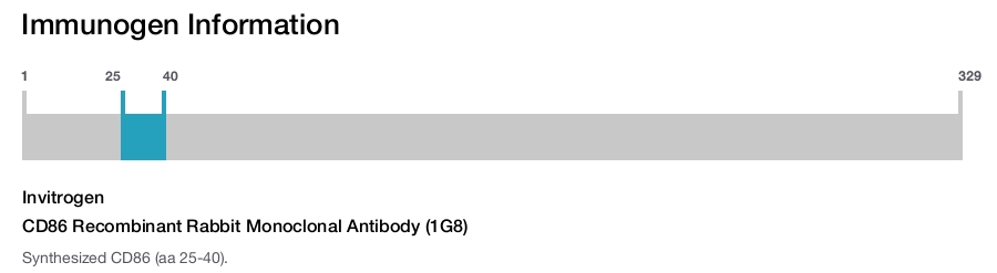 CD86 Recombinant Rabbit Monoclonal Antibody (1G8)