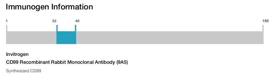 CD99 Recombinant Rabbit Monoclonal Antibody (9A5)