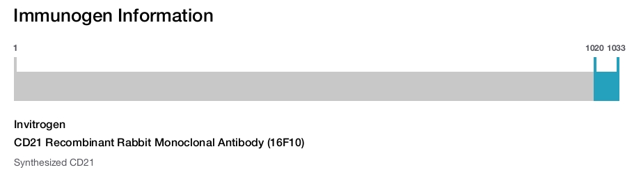 CD21 Recombinant Rabbit Monoclonal Antibody (16F10)