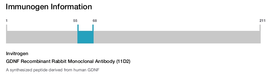 GDNF Recombinant Rabbit Monoclonal Antibody (11D2)