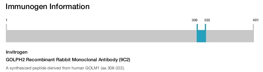 GOLPH2 Recombinant Rabbit Monoclonal Antibody (9C2)