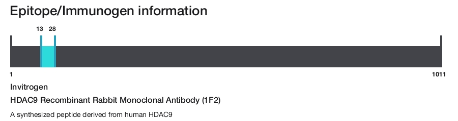 HDAC9 Recombinant Rabbit Monoclonal Antibody (1F2)