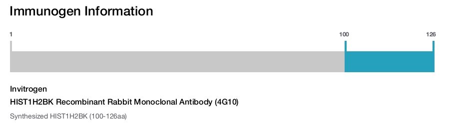HIST1H2BK Recombinant Rabbit Monoclonal Antibody (4G10)