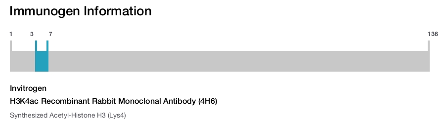 H3K4ac Recombinant Rabbit Monoclonal Antibody (4H6)