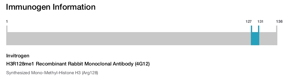 H3R128me1 Recombinant Rabbit Monoclonal Antibody (4G12)