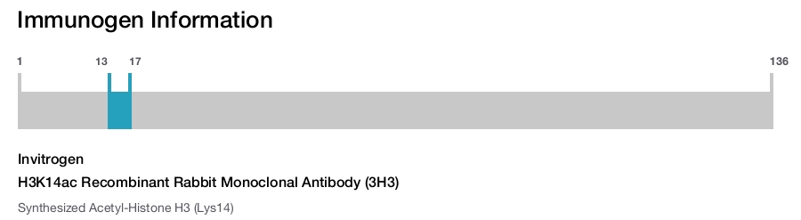 H3K14ac Recombinant Rabbit Monoclonal Antibody (3H3)