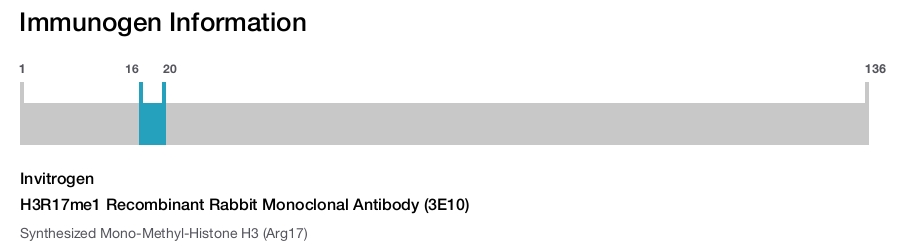H3R17me1 Recombinant Rabbit Monoclonal Antibody (3E10)