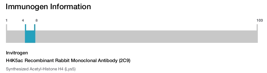 H4K5ac Recombinant Rabbit Monoclonal Antibody (2C9)
