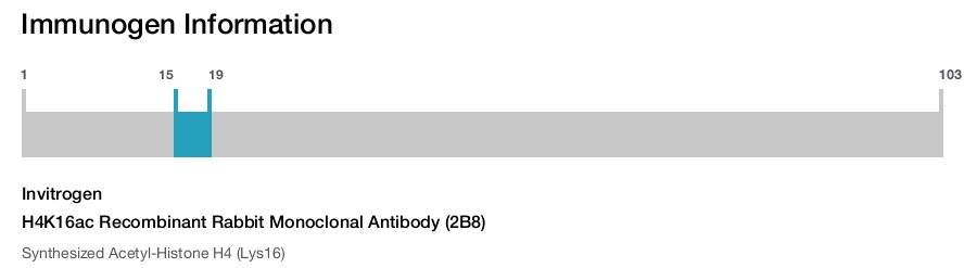 H4K16ac Recombinant Rabbit Monoclonal Antibody (2B8)