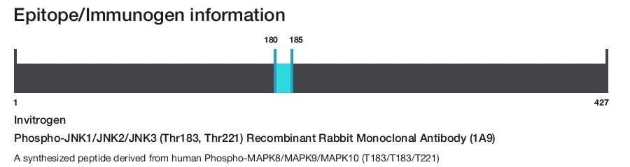 Phospho-JNK1/JNK2/JNK3 (Thr183, Thr221) Recombinant Rabbit Monoclonal Antibody (1A9)