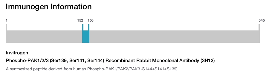 Phospho-PAK1/2/3 (Ser139, Ser141, Ser144) Recombinant Rabbit Monoclonal Antibody (3H12)