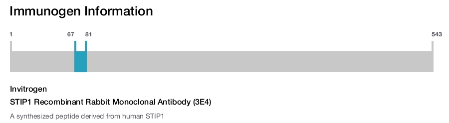 STIP1 Recombinant Rabbit Monoclonal Antibody (3E4)