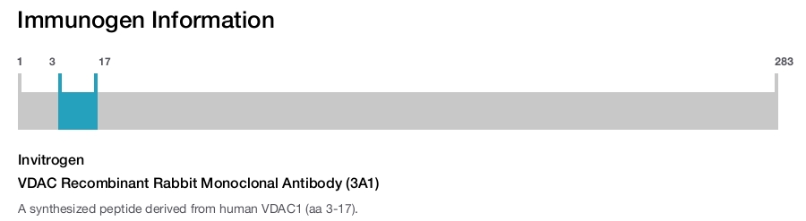 VDAC Recombinant Rabbit Monoclonal Antibody (3A1)