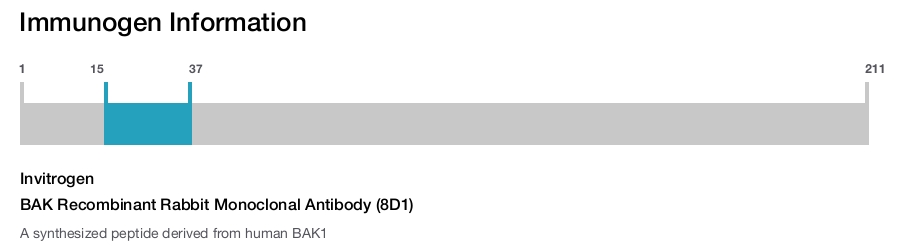 BAK Recombinant Rabbit Monoclonal Antibody (8D1)