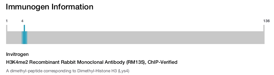H3K4me2 Recombinant Rabbit Monoclonal Antibody (RM135), ChIP-Verified