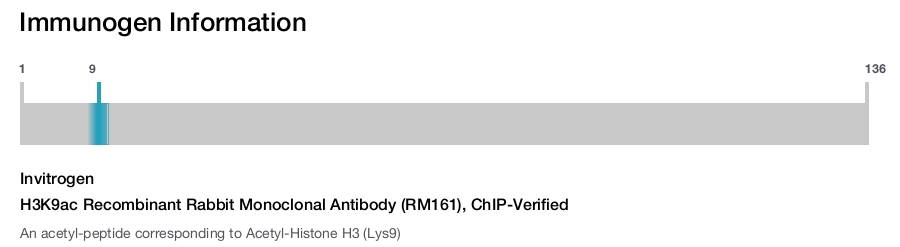 H3K9ac Recombinant Rabbit Monoclonal Antibody (RM161), ChIP-Verified