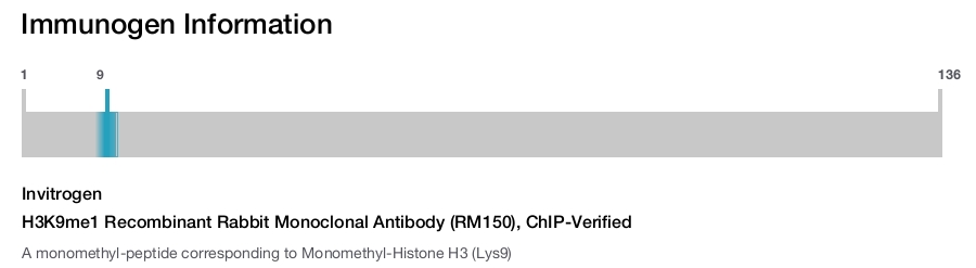 H3K9me1 Recombinant Rabbit Monoclonal Antibody (RM150), ChIP-Verified