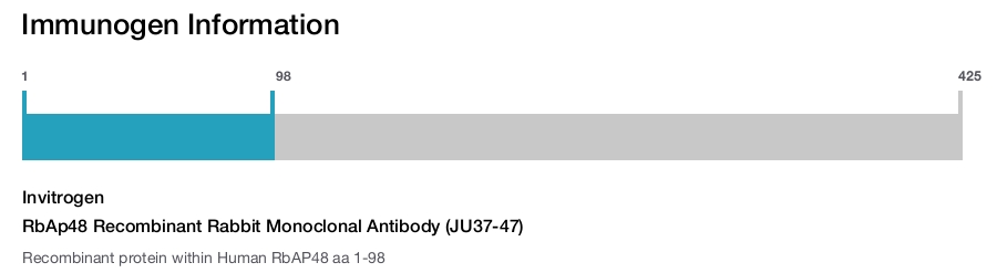 RbAp48 Recombinant Rabbit Monoclonal Antibody (JU37-47)