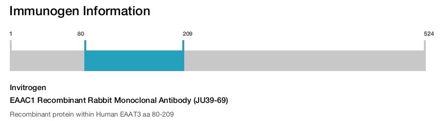 EAAC1 Recombinant Rabbit Monoclonal Antibody (JU39-69)