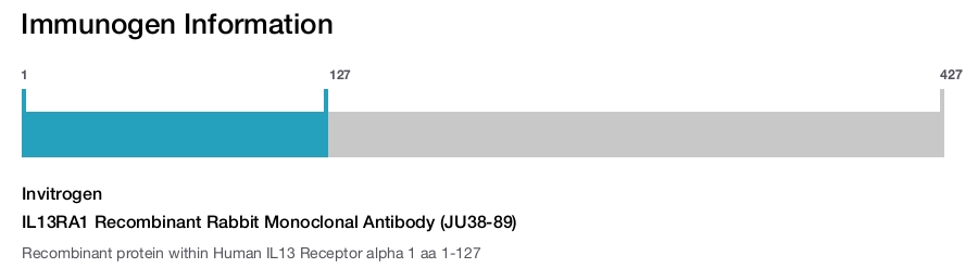 IL13RA1 Recombinant Rabbit Monoclonal Antibody (JU38-89)