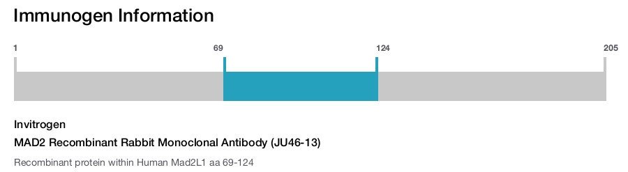 MAD2 Recombinant Rabbit Monoclonal Antibody (JU46-13)