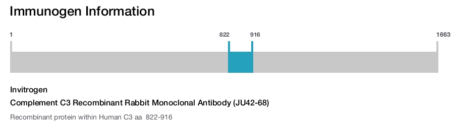 Complement C3 Recombinant Rabbit Monoclonal Antibody (JU42-68)