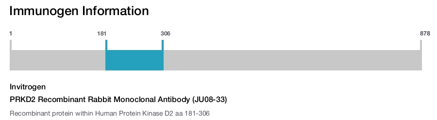 PRKD2 Recombinant Rabbit Monoclonal Antibody (JU08-33)