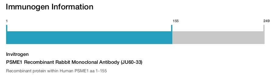 PSME1 Recombinant Rabbit Monoclonal Antibody (JU60-33)