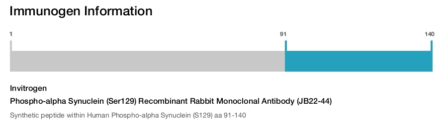 Phospho-alpha Synuclein (Ser129) Recombinant Rabbit Monoclonal Antibody (JB22-44)